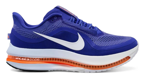 Men's Nike Pegasus Premium